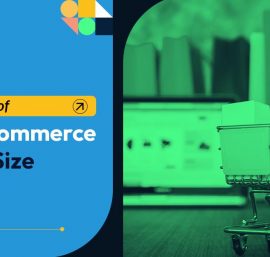 Introduction to D2C E-commerce Market Size in India