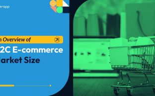 D2C E-commerce Market Size