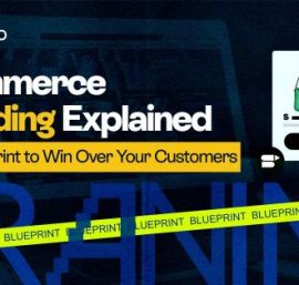 Everything you Need to know for a Successful Ecommerce Branding Strategy